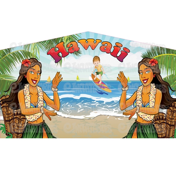 Hawaii Bounce House Banner