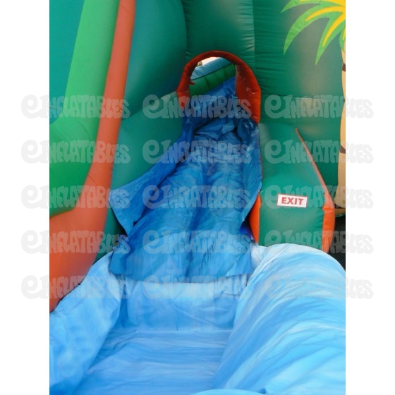 22 Vortex Tropical with Pool Inflatable Slide